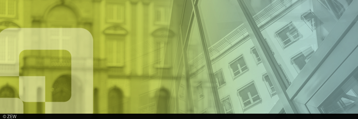 MannheimTaxation Headerbild